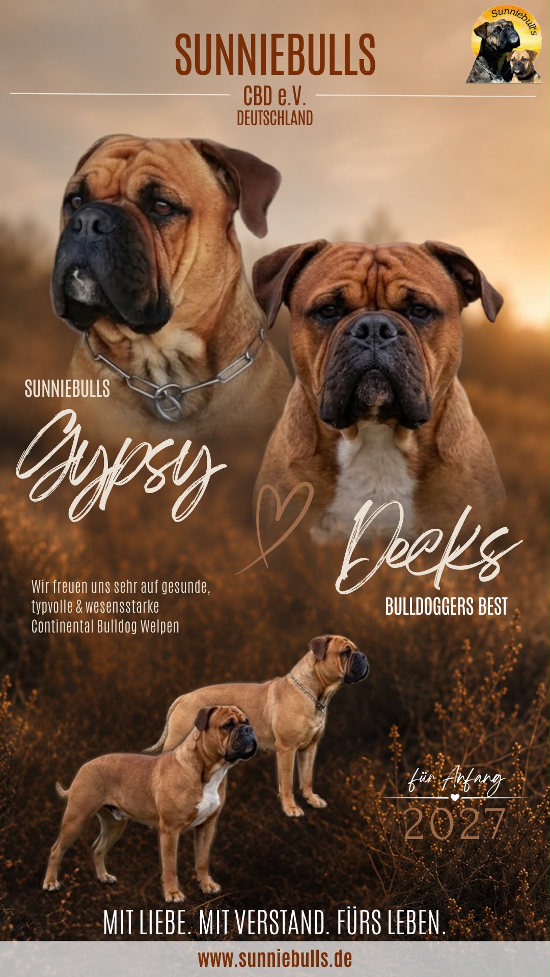 Gypsy – Wurfplanung 2027