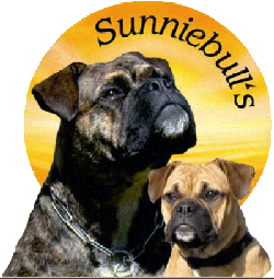 Sunniebull's